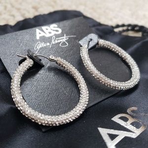 Sparkly Hoop Earrings